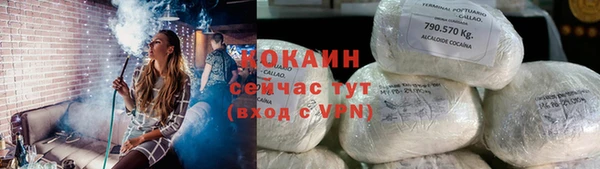 a pvp Новозыбков