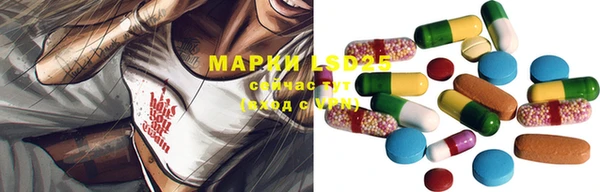 a pvp Новозыбков