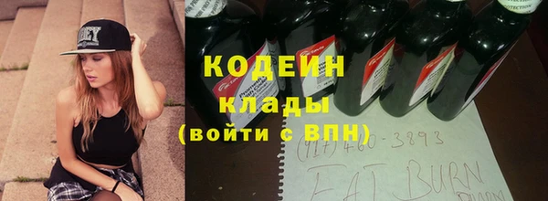 a pvp Новозыбков