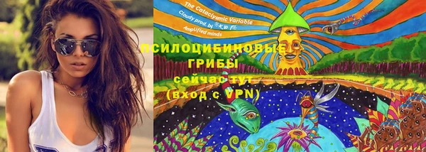 дживик Новокубанск