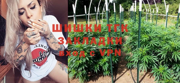 a pvp Новозыбков