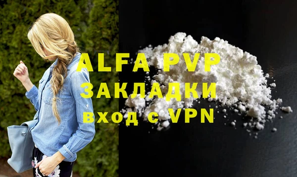 a pvp Новозыбков