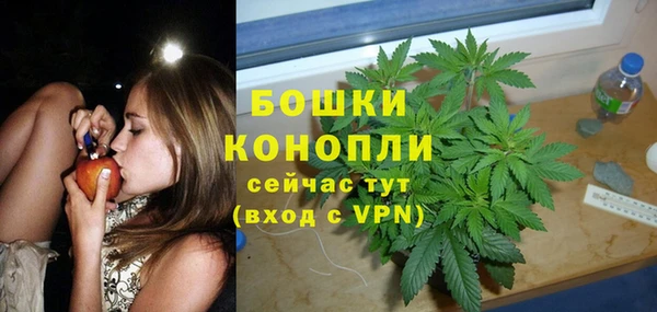 дживик Новокубанск