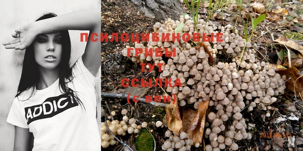 дживик Новокубанск