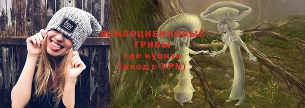 дживик Новокубанск