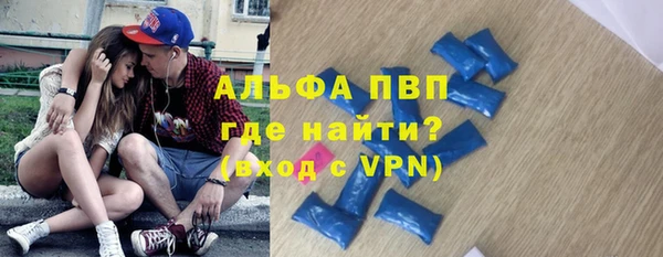 a pvp Новозыбков
