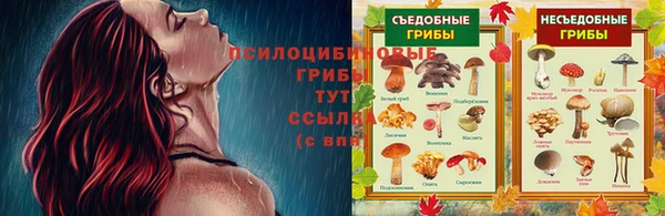 дживик Новокубанск