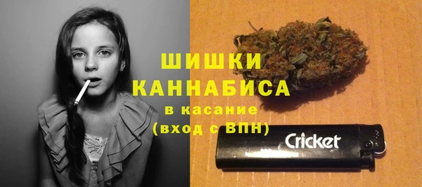 a pvp Новозыбков